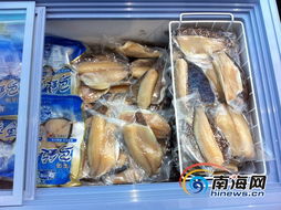 海南水產品現狀解讀 依賴出口、內銷滯后，亟待轉型升級