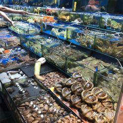 黃沙海鮮水產交易市場 農產品交易的璀璨瑰寶